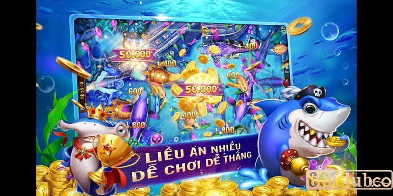 Bắn cá là gì?