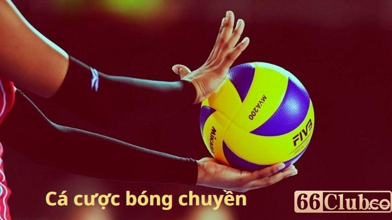 Vài nét về bộ môn bóng chuyền