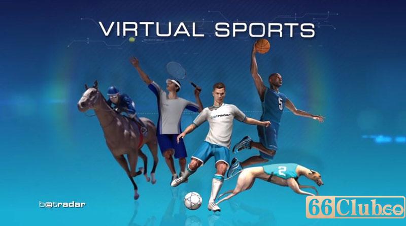 WS Sports là gì?
